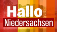 logo313_v-einspaltig logo313_v-einspaltig